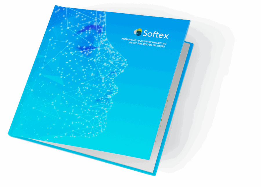 Relatório Anual 2019